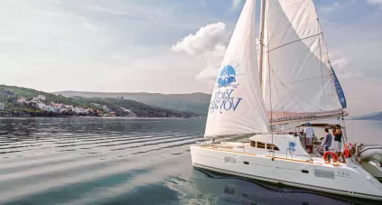 Катамараны, вперед!