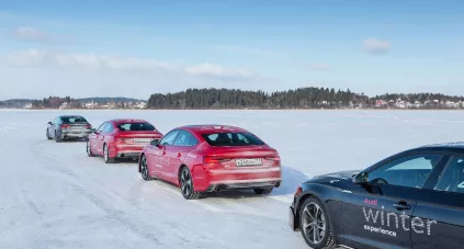 Audi Winter Experience