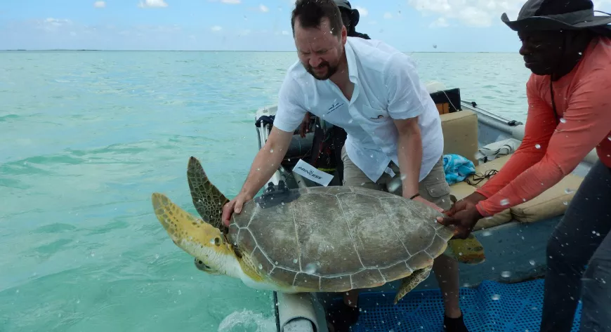 Проект Princess 
Yachts и Marine 
Conservation Society 
по сохранению 
популяции морских 
черепах на островах 
Тёркс и Кайкос - фото