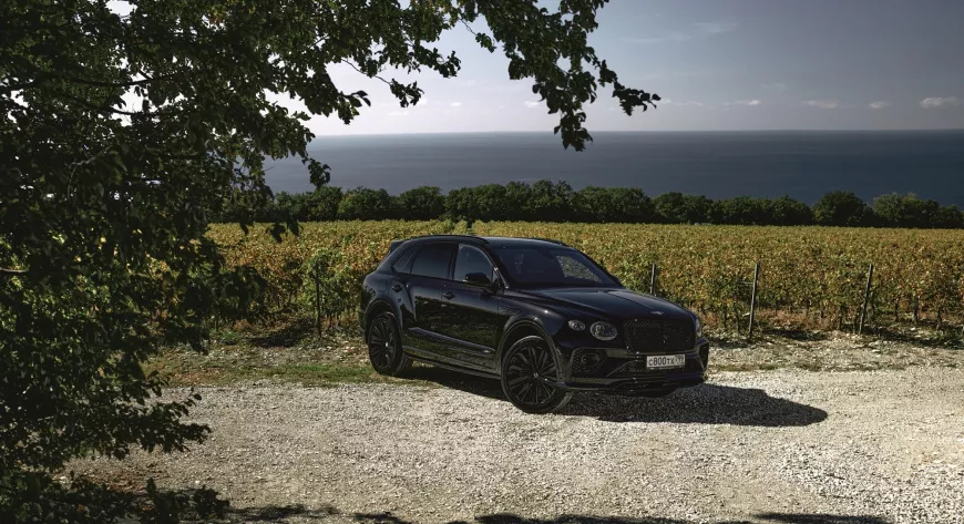 Короткая остановка у виноградника в рамках динамичного Bentley Autumn Tour  - фото