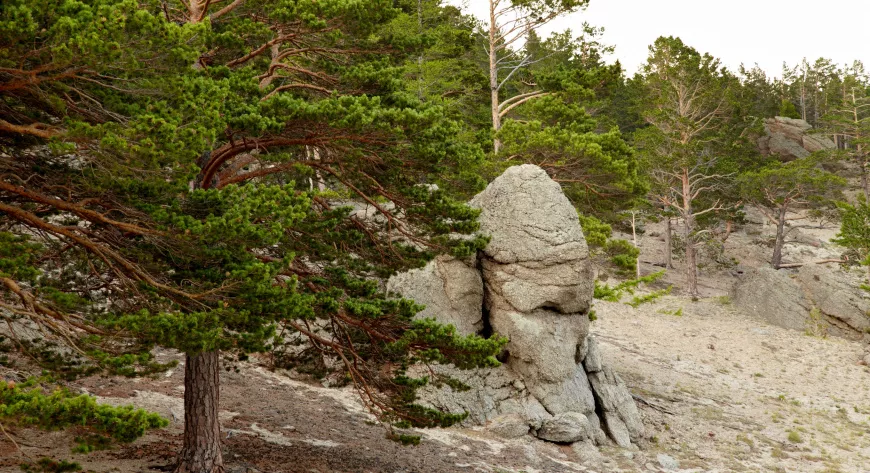 Байкал зимой и летом - фото 5