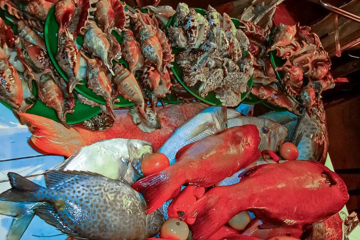 Выбор рыбы и морепродуктов на прилавке в кафе острова Панглао - фото