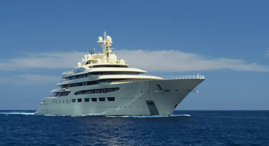 Dilbar - фото 1