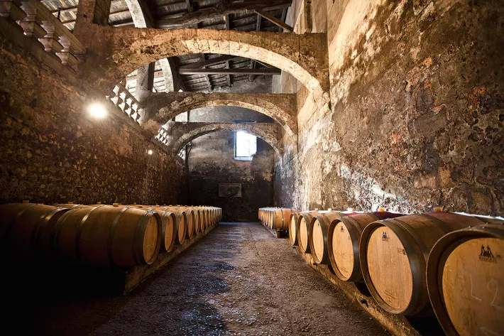 Château du Taillan. Бочки с вином в огромных погребах замка - фото