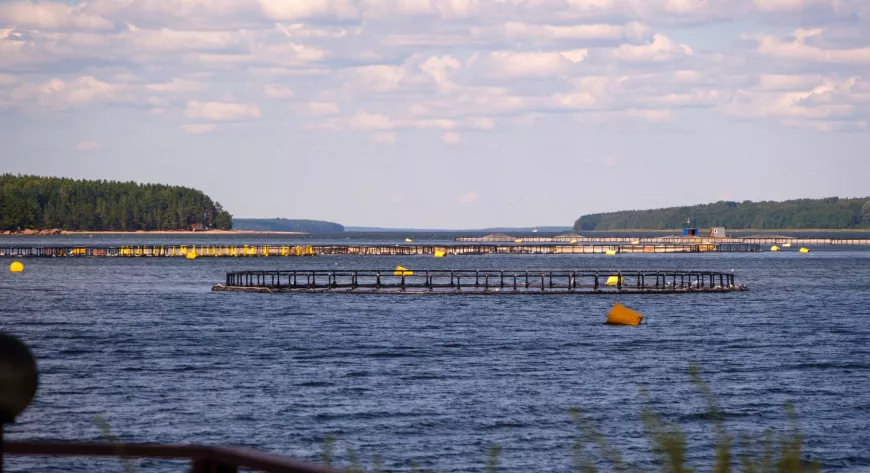 Форелевая ферма вблизи загородного клуба West - фото