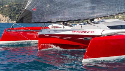 Dragonfly 25