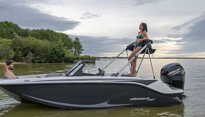 Bayliner Element M17