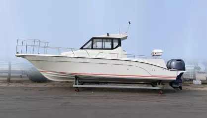 AVANRAID FS-31 