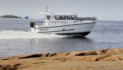 Sargo 33