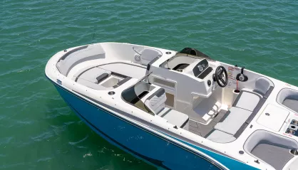 Bayliner Element M17