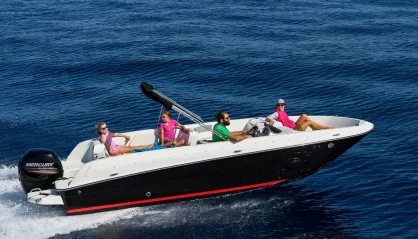 Bayliner Element E21