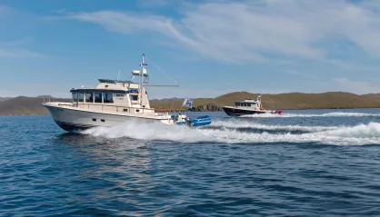 Targa 44
