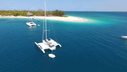 Dragonfly 32
