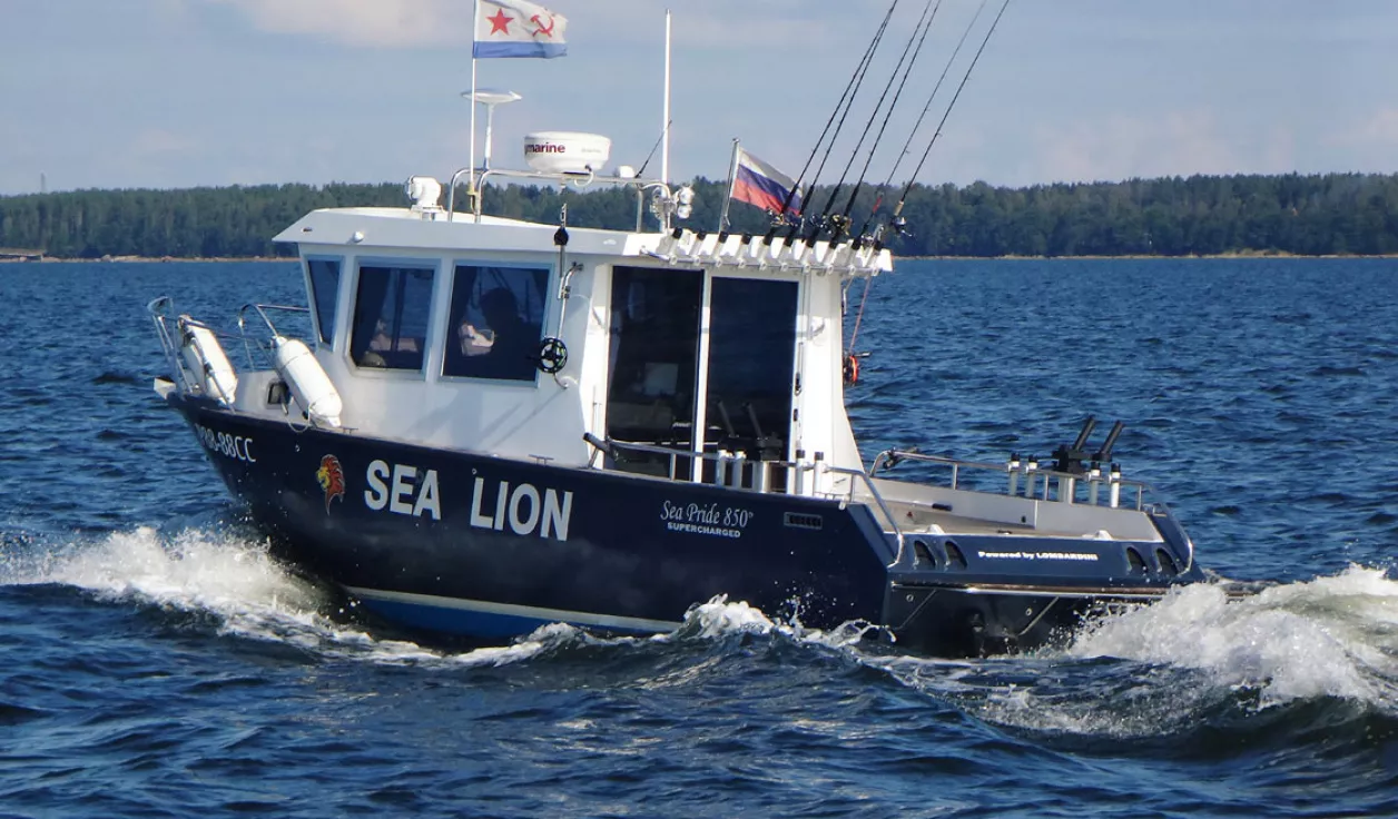 Катер Sea Pride 850 - фото 2