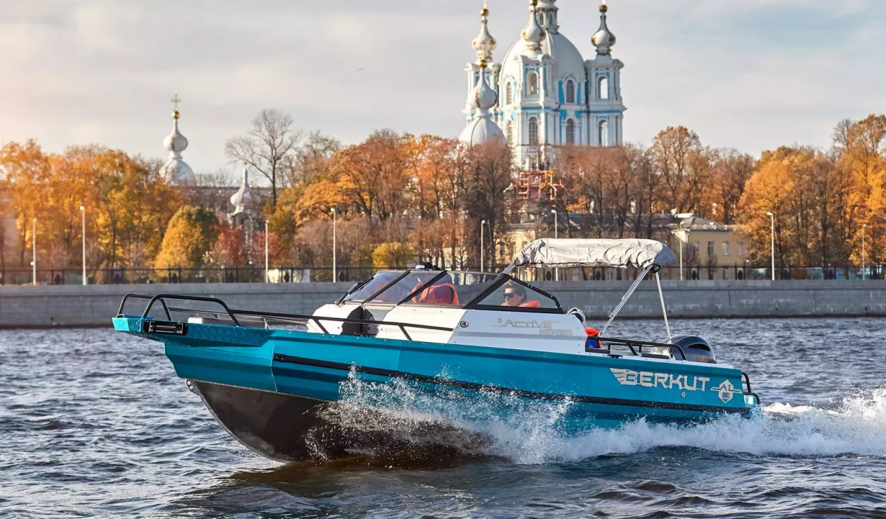 Berkut Active DC