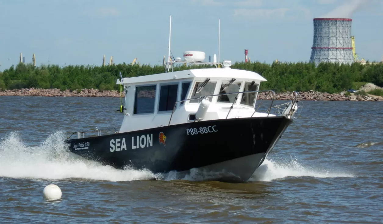 Катер Sea Pride 850 - фото 1