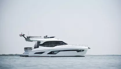 Majesty 49