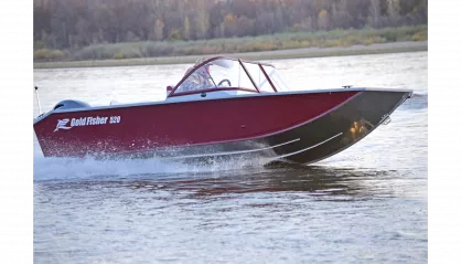 Gold Fisher 520 DCM FISH