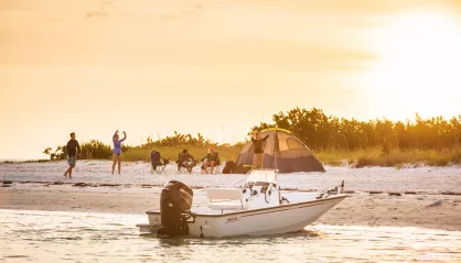Boston Whaler 170 Montauk