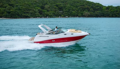 Fibrafort Focker 305