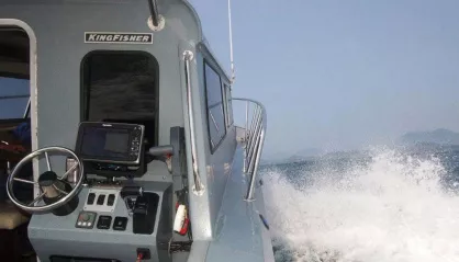 KingFisher 2825