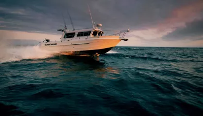 KingFisher 2825