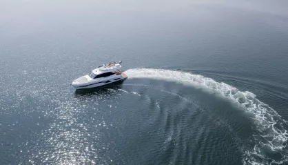 Majesty 49