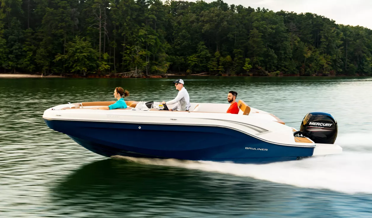 Катер Bayliner DX2000 - фото 1