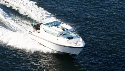 Delta 290 SW