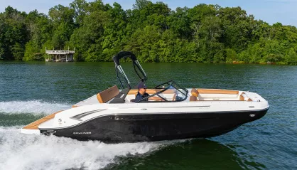 Bayliner DX2050