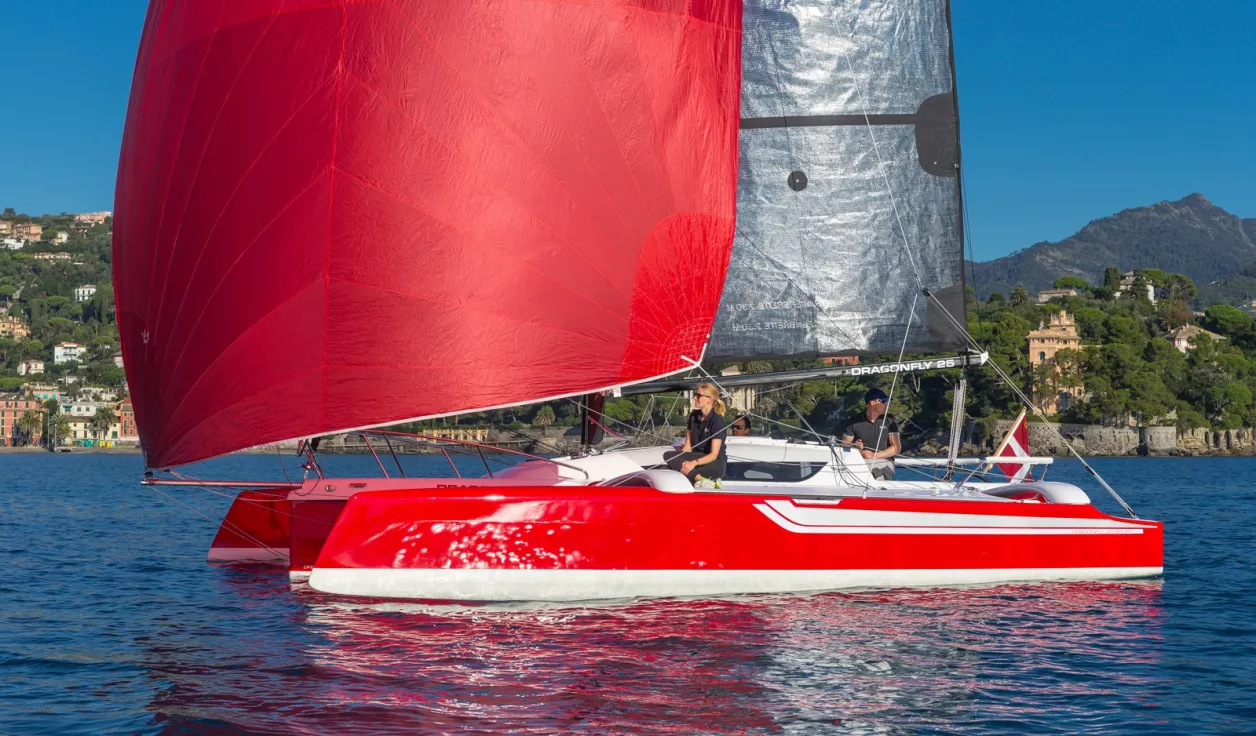 Dragonfly 25