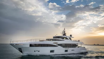 Majesty 100