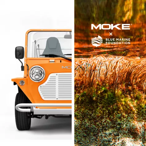 Electric MOKE Blue Marine Edition продадут на MYS 2022 - фото 2